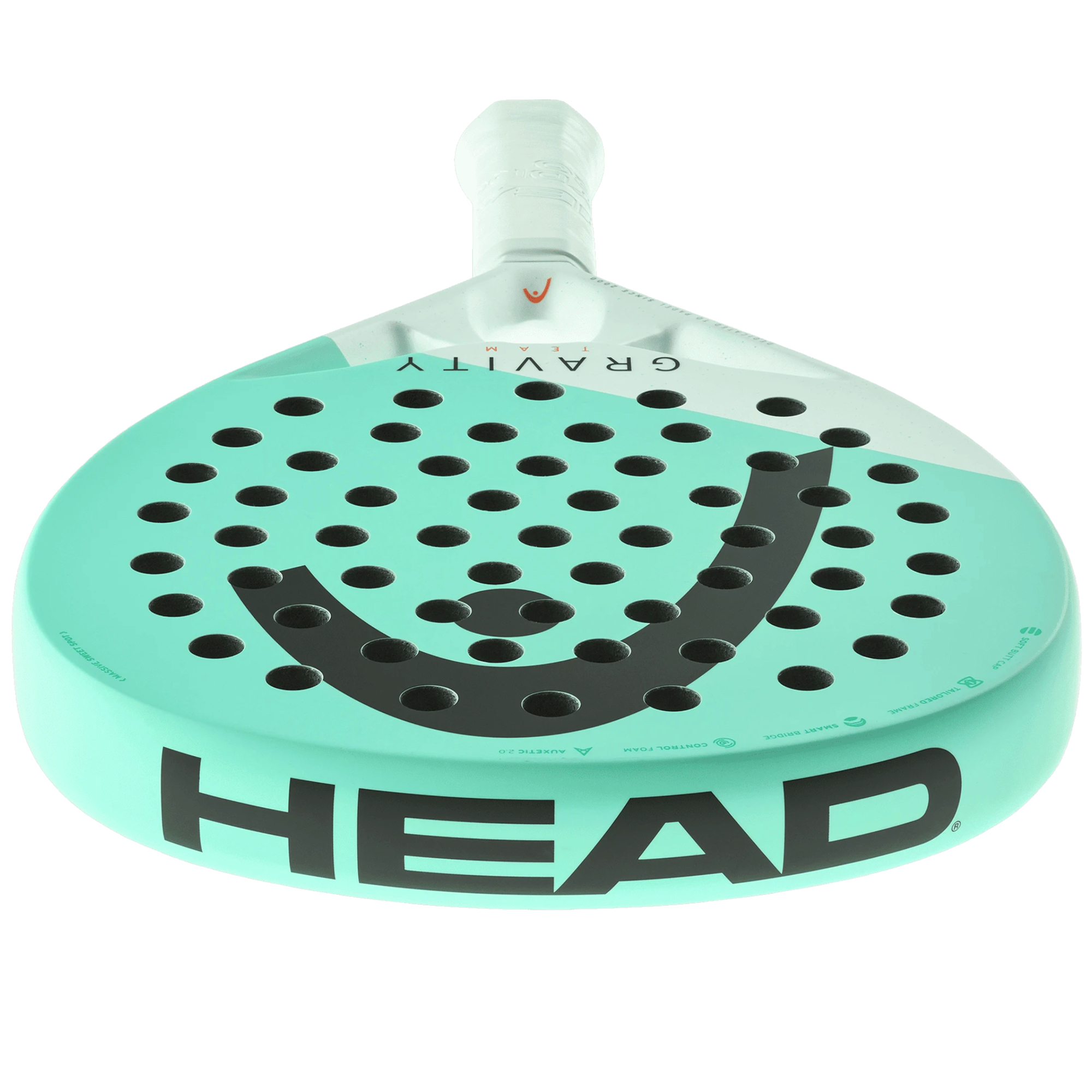 HEAD GRAVITY TEAM 2025